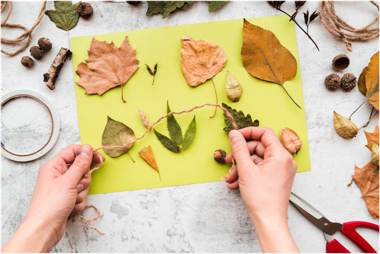 What Does the Reggio Emilia Approach Look Like in Everyday Preschool Learning?